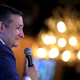 Illustration for article titled Ted Cruz Holds on to His Senate Seat For Now